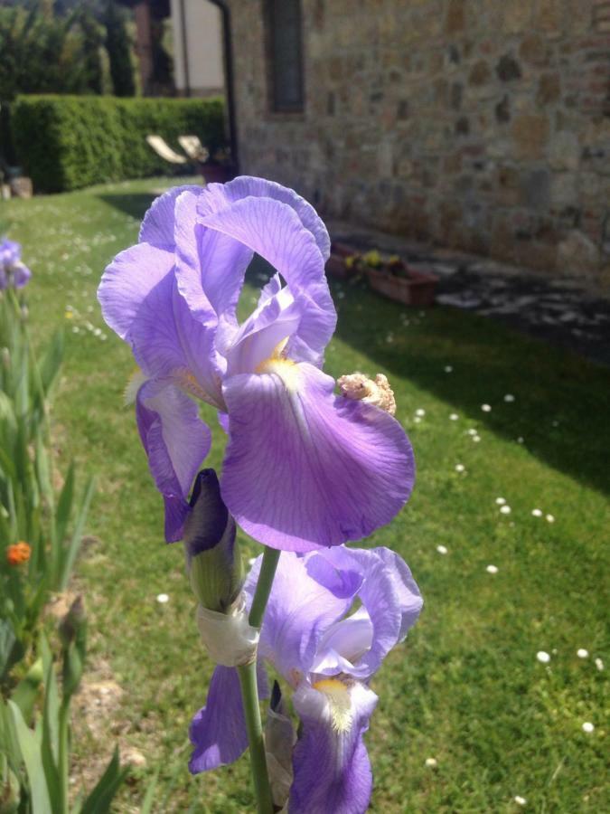 Farm stay Borgo Del Molinello *