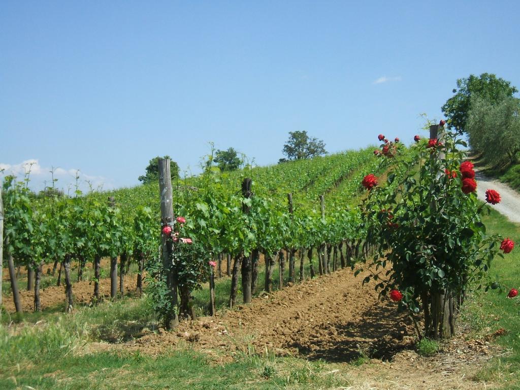Borgo Del Molinello Bauernhof Sant'Albino